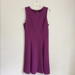 White House Black Market Purple Dress Size Small